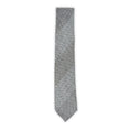 Load image into Gallery viewer, PAOLO ALBIZZATI Tie