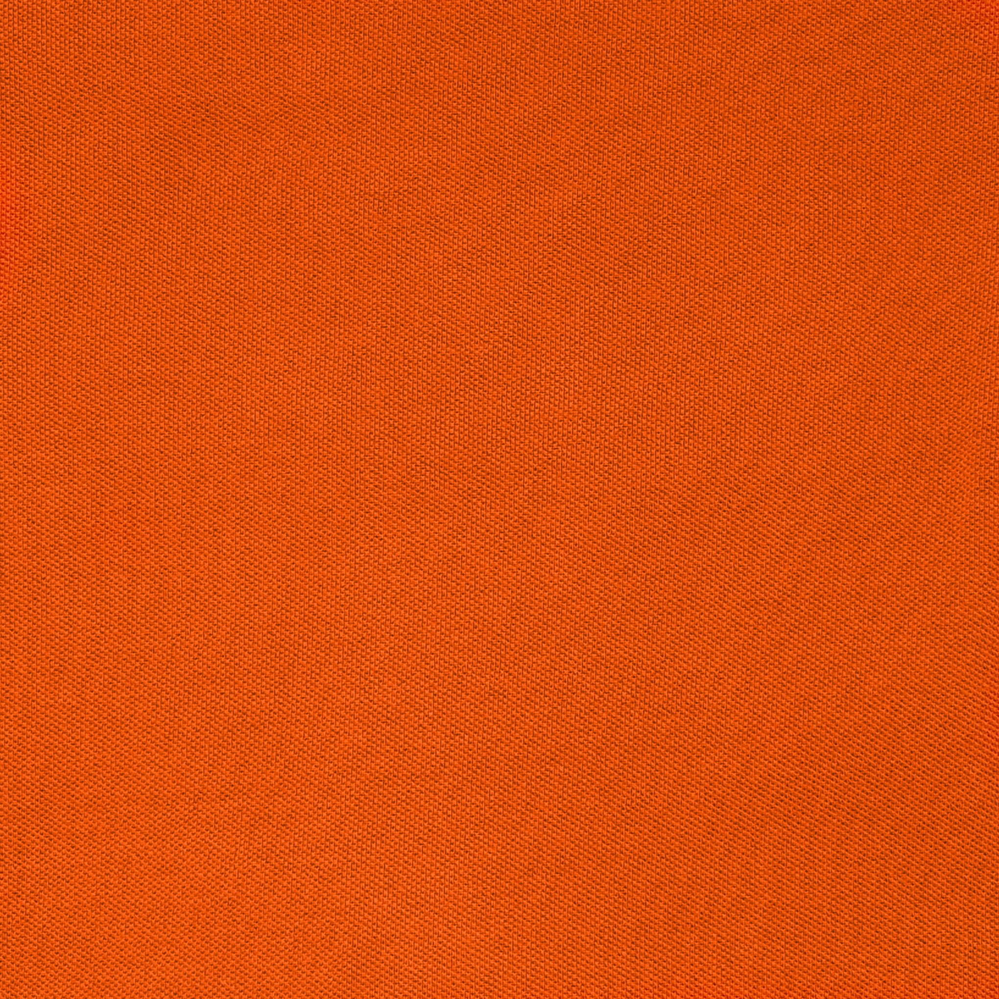 ALAN PAINE Lobster Motif Polo