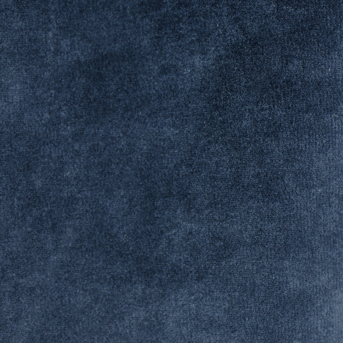 CIRCOLO 1901 Sport Coat