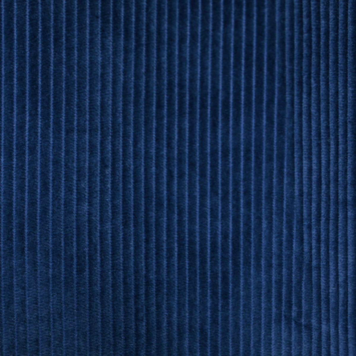 DW PORTLAND BLUES Trousers