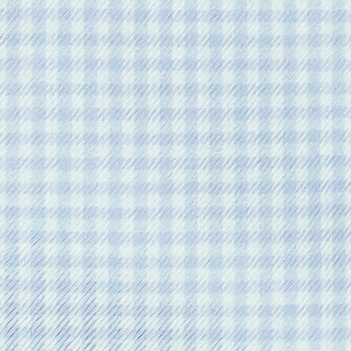 DW Check Shirt