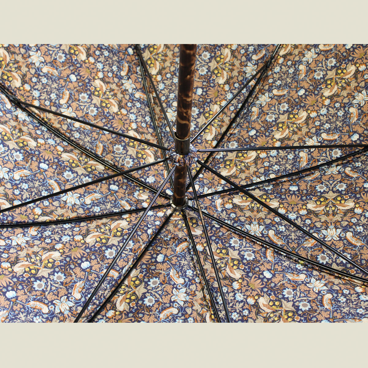 FOX Long Umbrella