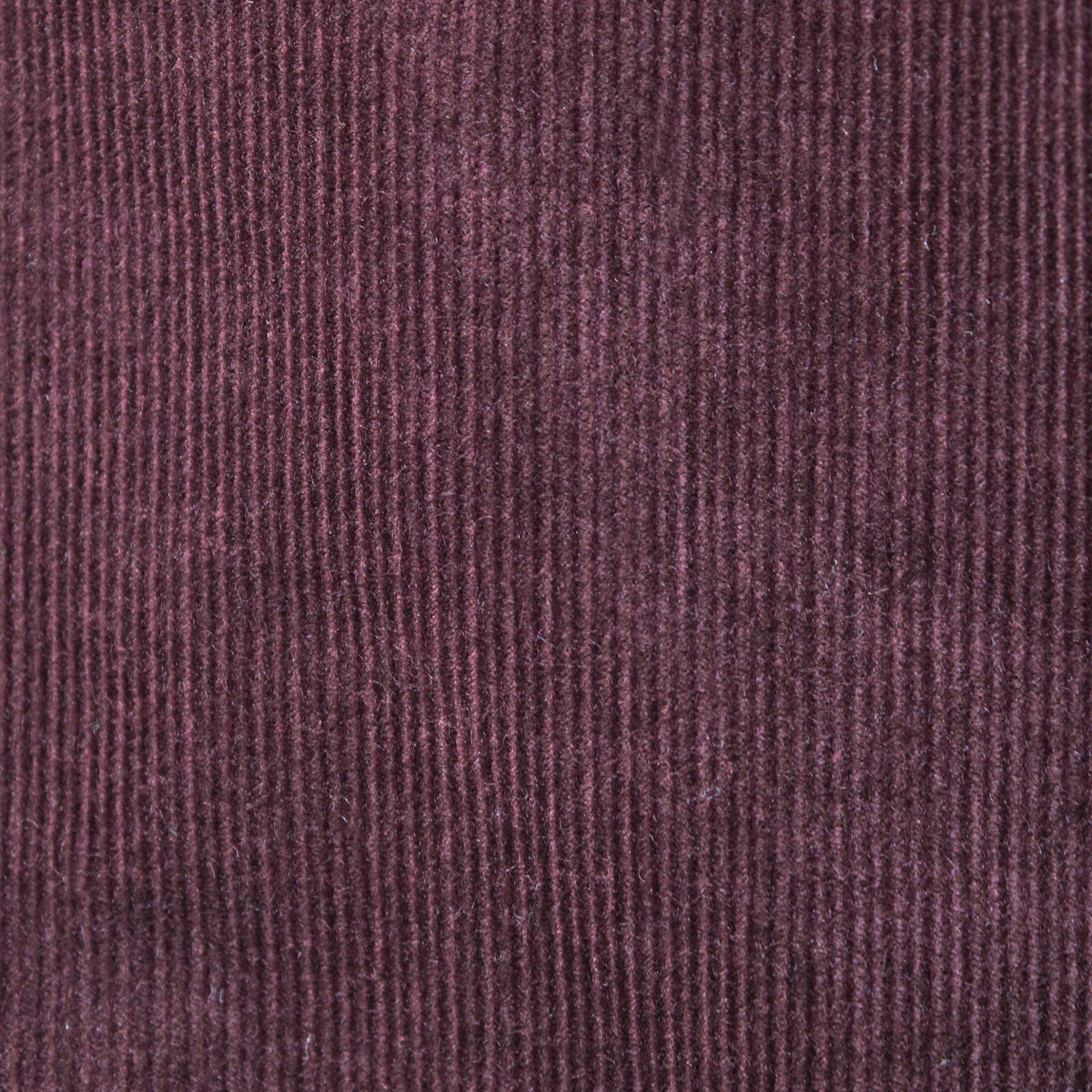 HILTL Cord Pant