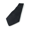 Load image into Gallery viewer, R. HANAUER Tie
