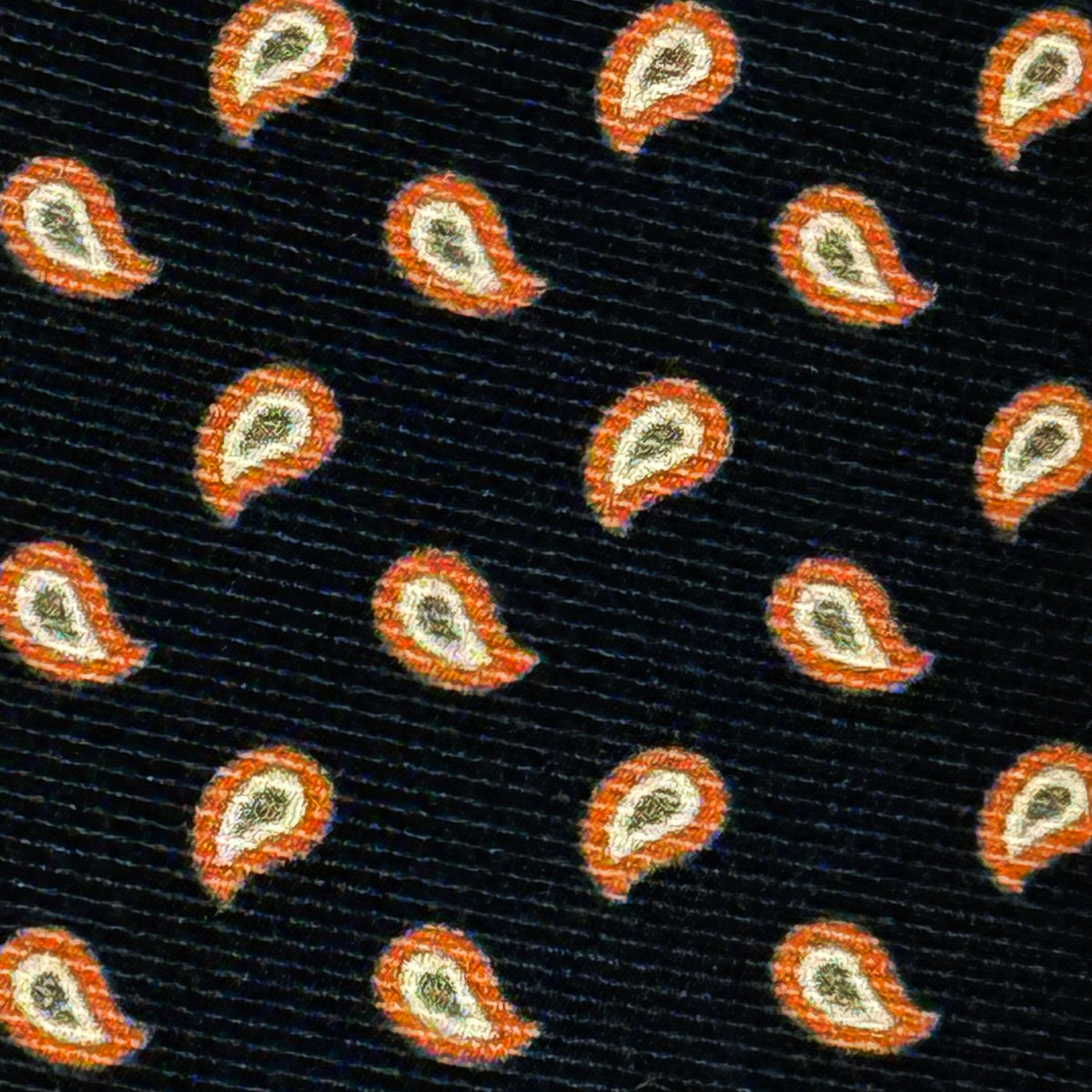ROBERT JENSEN Paisley Tie