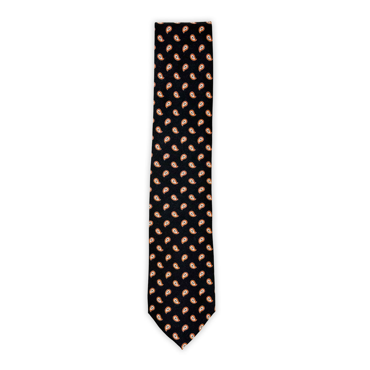 ROBERT JENSEN Paisley Tie