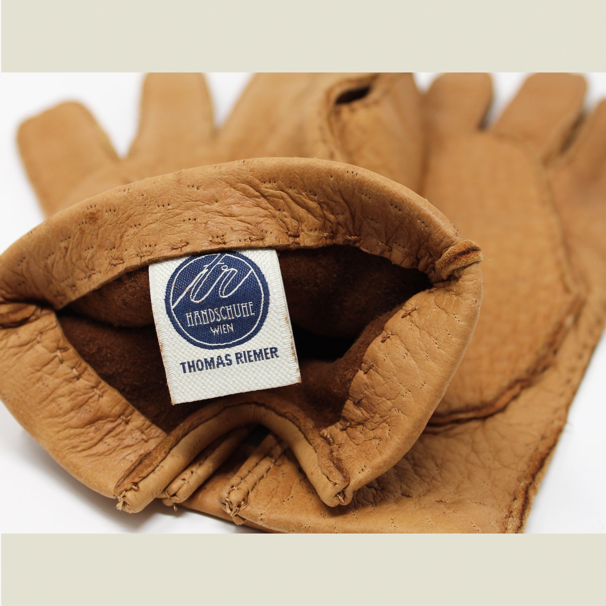 TR HANDSCHUHE Glove