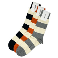 ANT45 Block Stripe Socks